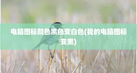 电脑图标颜色黑色变白色(我的电脑图标变黑)
