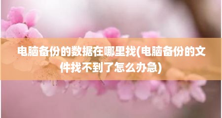 电脑备份的数据在哪里找(电脑备份的文件找不到了怎么办急)