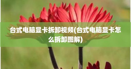 台式电脑显卡拆卸视频(台式电脑显卡怎么拆卸图解)