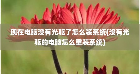 现在电脑没有光驱了怎么装系统(没有光驱的电脑怎么重装系统)