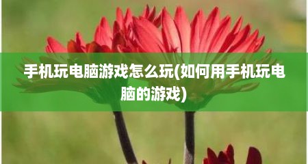 手机玩电脑游戏怎么玩(如何用手机玩电脑的游戏)