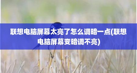 联想电脑屏幕太亮了怎么调暗一点(联想电脑屏幕变暗调不亮)