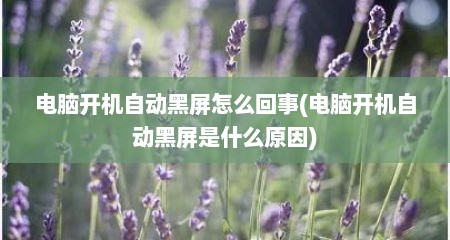 电脑开机自动黑屏怎么回事(电脑开机自动黑屏是什么原因)