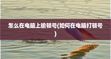 怎么在电脑上输顿号(如何在电脑打顿号)