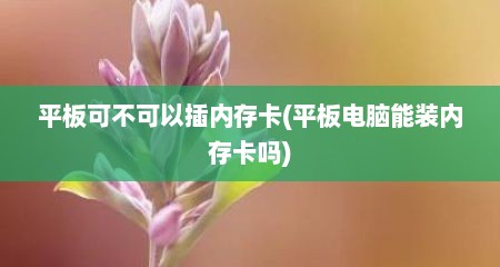 平板可不可以插内存卡(平板电脑能装内存卡吗)