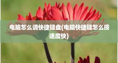 电脑怎么调快捷键盘(电脑快捷键怎么按速度快)