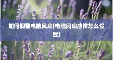 如何调整电脑风扇(电脑风扇应该怎么设置)