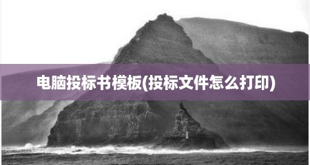 电脑投标书模板(投标文件怎么打印)