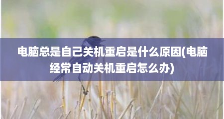 电脑总是自己关机重启是什么原因(电脑经常自动关机重启怎么办)