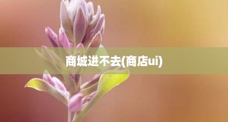 商城进不去(商店ui)
