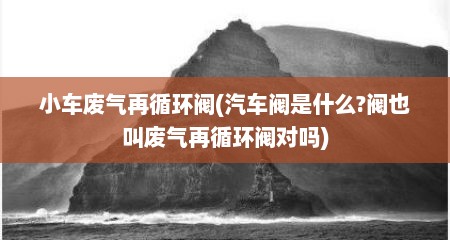 小车废气再循环阀(汽车阀是什么?阀也叫废气再循环阀对吗)