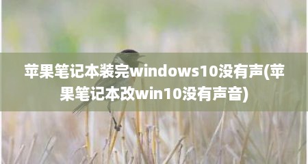 苹果笔记本装完windows10没有声(苹果笔记本改win10没有声音)