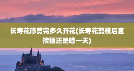 长寿花修剪完多久开花(长寿花剪枝后直接插还是晾一天)
