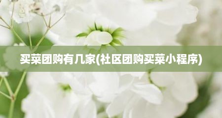 买菜团购有几家(社区团购买菜小程序)