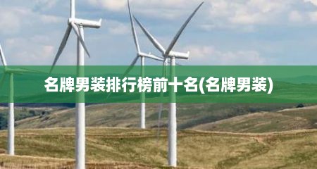 名牌男装排行榜前十名(名牌男装)
