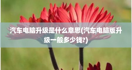 汽车电脑升级是什么意思(汽车电脑版升级一般多少钱?)