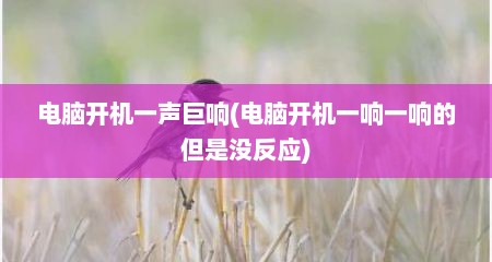 电脑开机一声巨响(电脑开机一响一响的但是没反应)