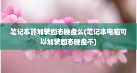笔记本能加装固态硬盘么(笔记本电脑可以加装固态硬盘不)