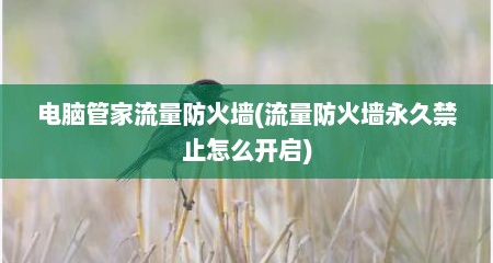电脑管家流量防火墙(流量防火墙永久禁止怎么开启)