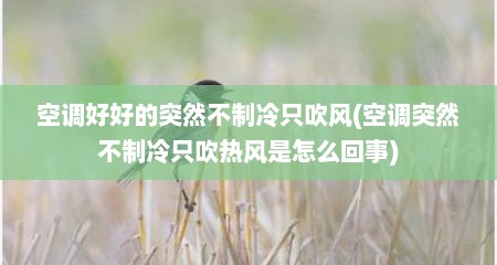 空调好好的突然不制冷只吹风(空调突然不制冷只吹热风是怎么回事)