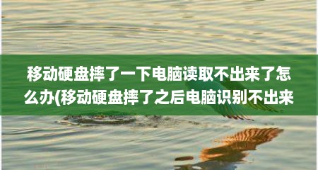 移动硬盘摔了一下电脑读取不出来了怎么办(移动硬盘摔了之后电脑识别不出来)