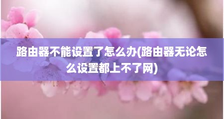 路由器不能设置了怎么办(路由器无论怎么设置都上不了网)