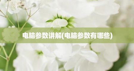 电脑参数讲解(电脑参数有哪些)