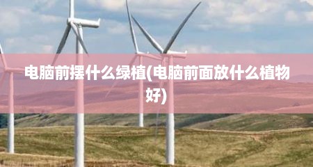 电脑前摆什么绿植(电脑前面放什么植物好)