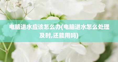 电脑进水应该怎么办(电脑进水怎么处理及时,还能用吗)