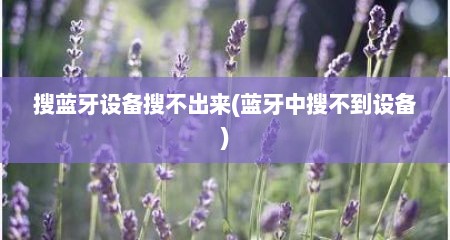搜蓝牙设备搜不出来(蓝牙中搜不到设备)