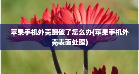 苹果手机外壳蹭破了怎么办(苹果手机外壳表面处理)