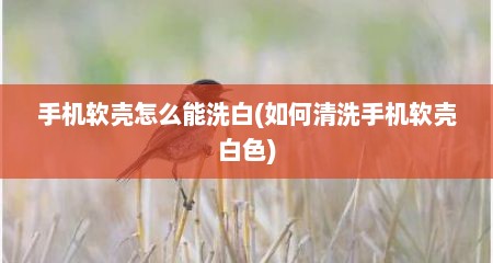 手机软壳怎么能洗白(如何清洗手机软壳白色)