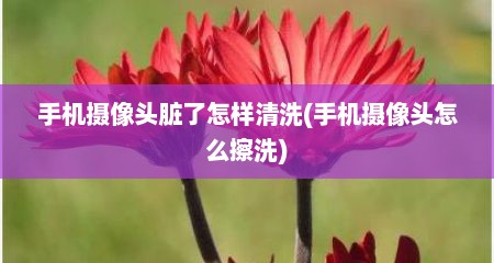 手机摄像头脏了怎样清洗(手机摄像头怎么擦洗)