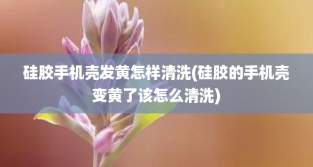 硅胶手机壳发黄怎样清洗(硅胶的手机壳变黄了该怎么清洗)