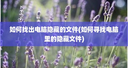 如何找出电脑隐藏的文件(如何寻找电脑里的隐藏文件)