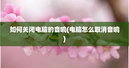 如何关闭电脑的音响(电脑怎么取消音响)