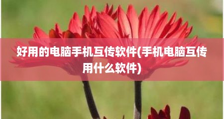 好用的电脑手机互传软件(手机电脑互传用什么软件)