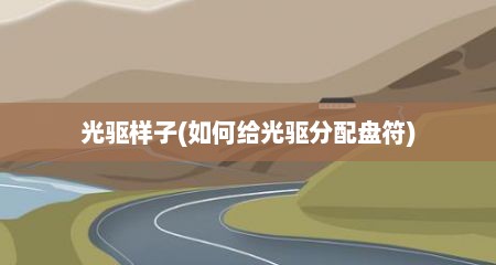 光驱样子(如何给光驱分配盘符)