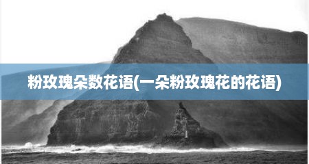粉玫瑰朵数花语(一朵粉玫瑰花的花语)