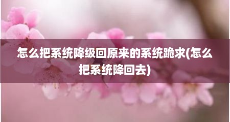 怎么把系统降级回原来的系统跪求(怎么把系统降回去)