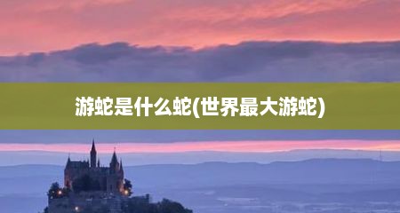 游蛇是什么蛇(世界最大游蛇)