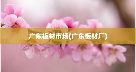 广东板材市场(广东板材厂)