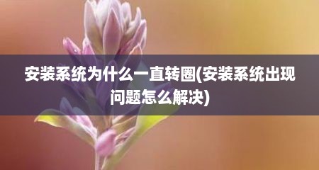 安装系统为什么一直转圈(安装系统出现问题怎么解决)