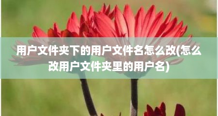 用户文件夹下的用户文件名怎么改(怎么改用户文件夹里的用户名)
