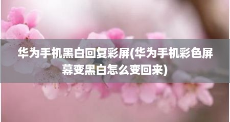 华为手机黑白回复彩屏(华为手机彩色屏幕变黑白怎么变回来)