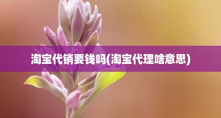 淘宝代销要钱吗(淘宝代理啥意思)