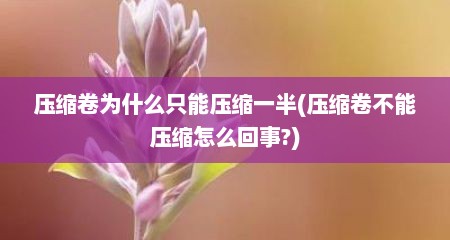 压缩卷为什么只能压缩一半(压缩卷不能压缩怎么回事?)