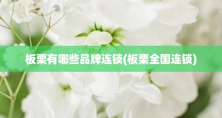 板栗有哪些品牌连锁(板栗全国连锁)