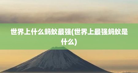 世界上什么蚂蚁最强(世界上最强蚂蚁是什么)