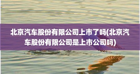 北京汽车股份有限公司上市了吗(北京汽车股份有限公司是上市公司吗)